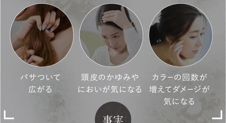 黒髪クリームシャンプー・カミカ-50