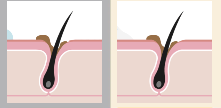 黒髪クリームシャンプー・カミカ-52