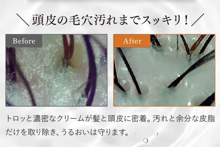 黒髪クリームシャンプー・カミカ-60