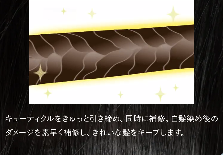 黒髪クリームシャンプー・カミカ-66