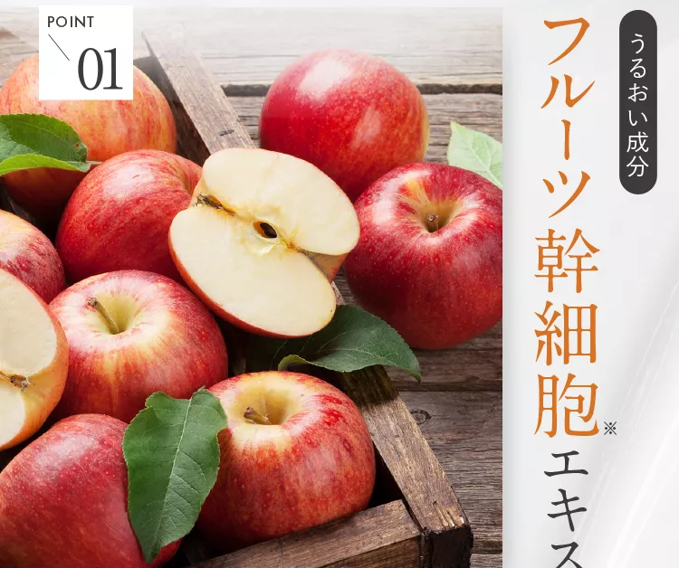 黒髪クリームシャンプー・カミカ-87