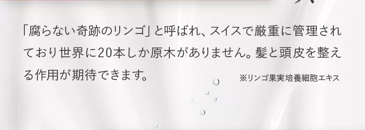 黒髪クリームシャンプー・カミカ-88