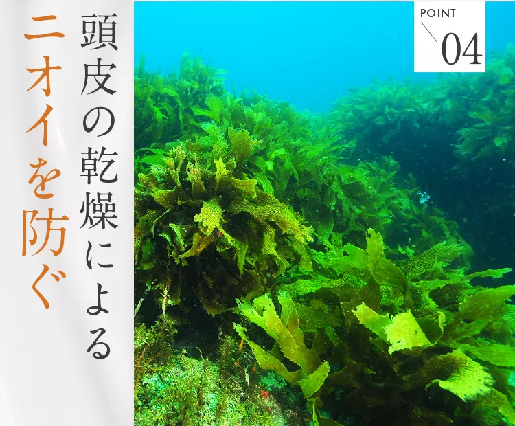 黒髪クリームシャンプー・カミカ-93