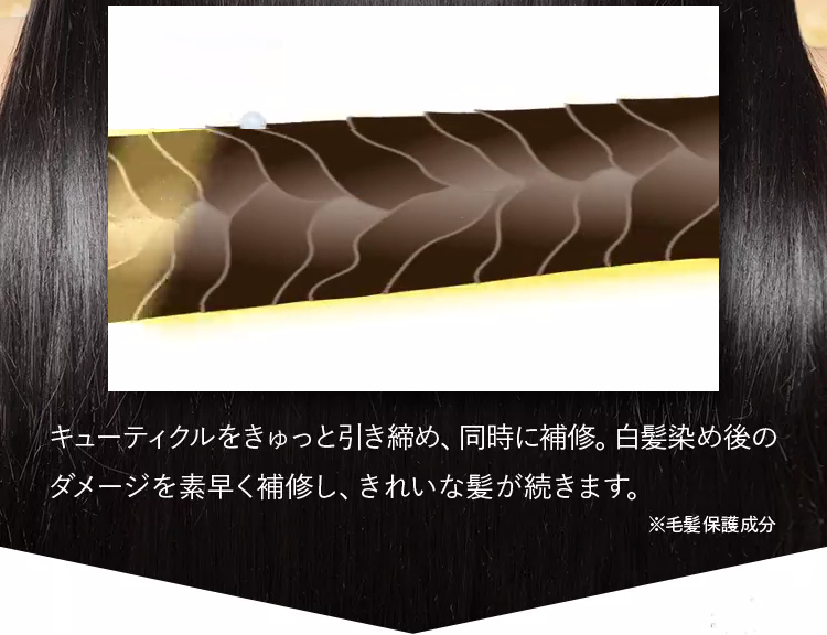 黒髪クリームシャンプー・カミカ-98