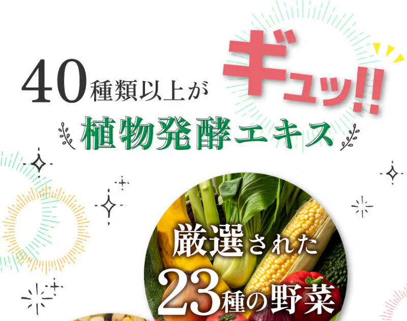 酵素ダイエット024