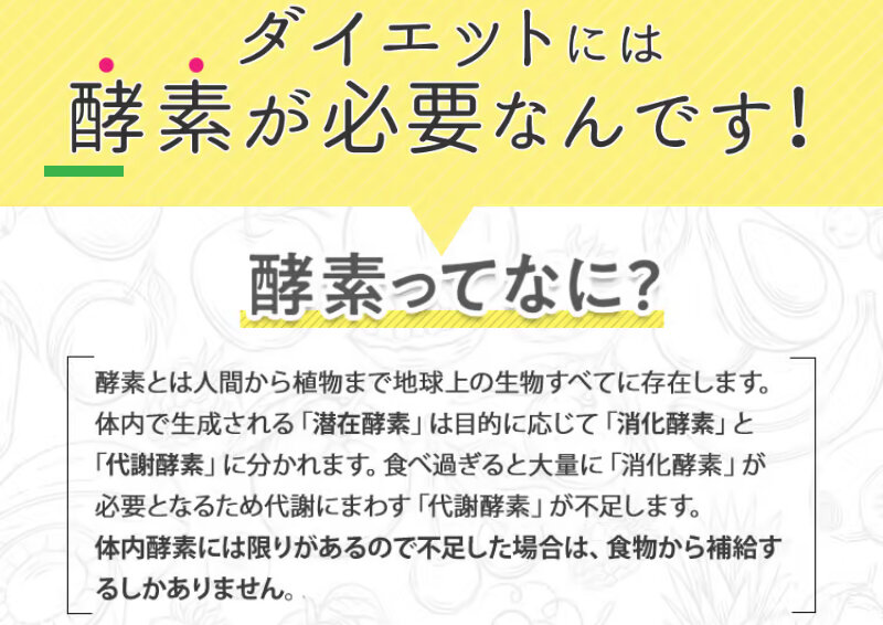 酵素ダイエット059