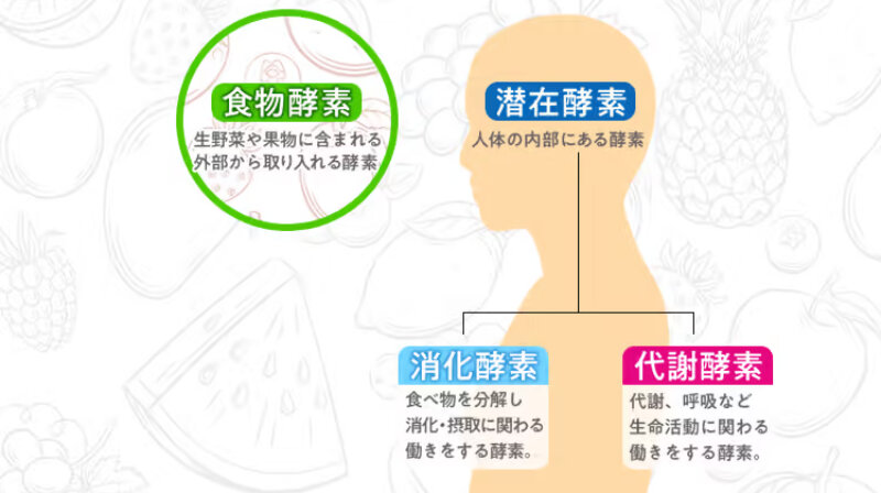 酵素ダイエット060