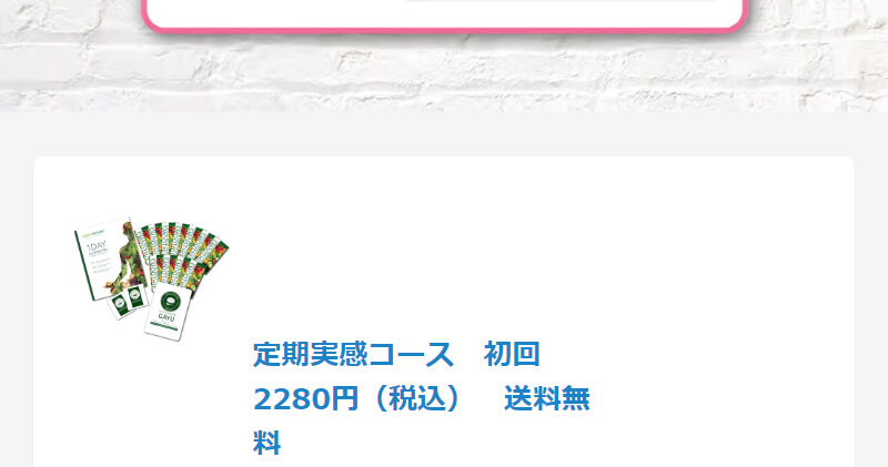 酵素ダイエット110