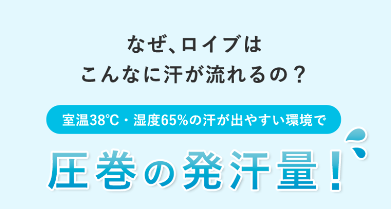 ロイブ-22