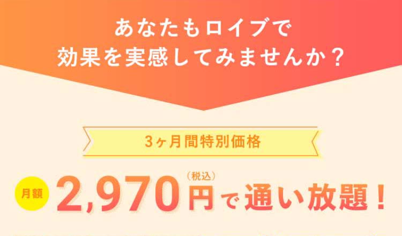 ロイブ-29
