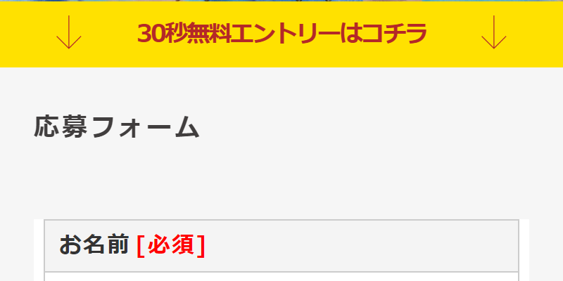 応募フォーム-1
