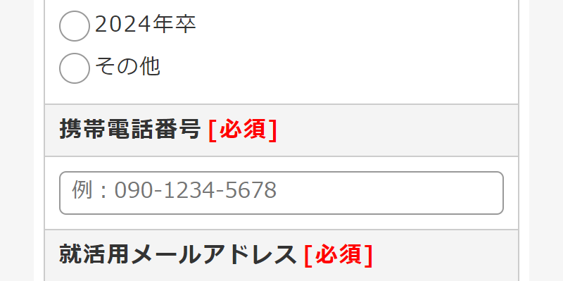 応募フォーム-4