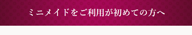 ミニメイドサービス009
