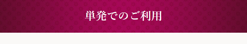 ミニメイドサービス022