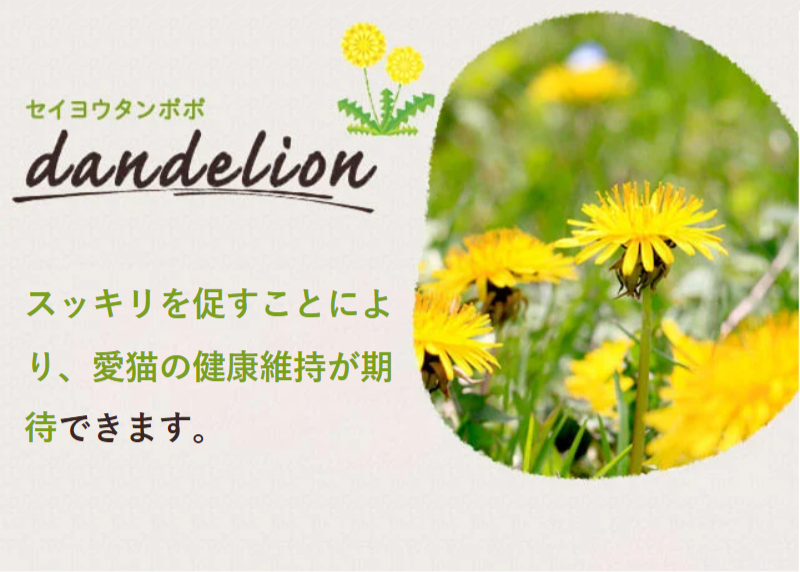 素材へのこだわり-8