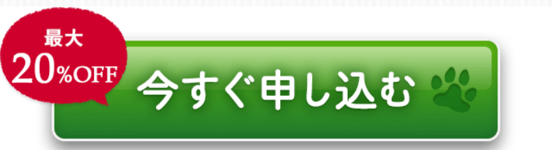 今すぐ申し込む-10