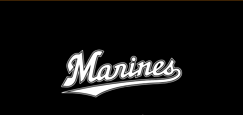 ネイティブキャンプ039