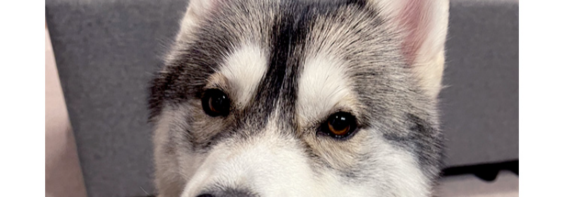 オーナーの声-5