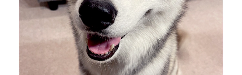 オーナーの声-6