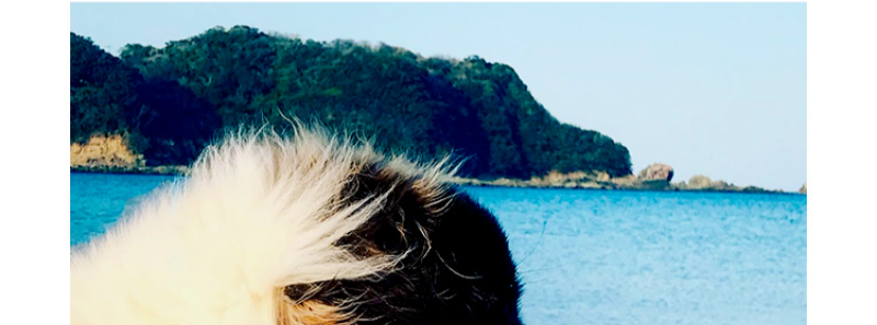 オーナーの声-9