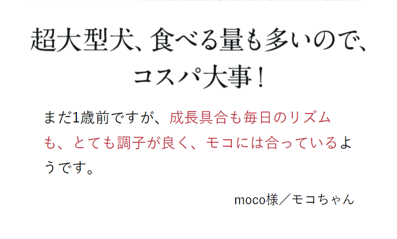 オーナーの声-11