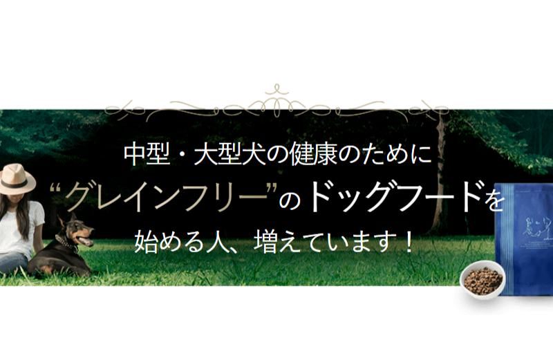 オーナーの声-13