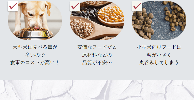 グレインフリーのネルソンドックフード-8