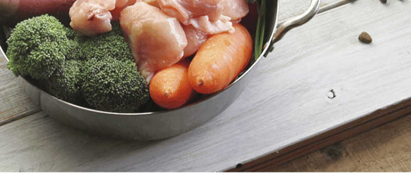 グレインフリーのネルソンドックフード-18