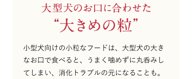 グレインフリーのネルソンドックフード-39