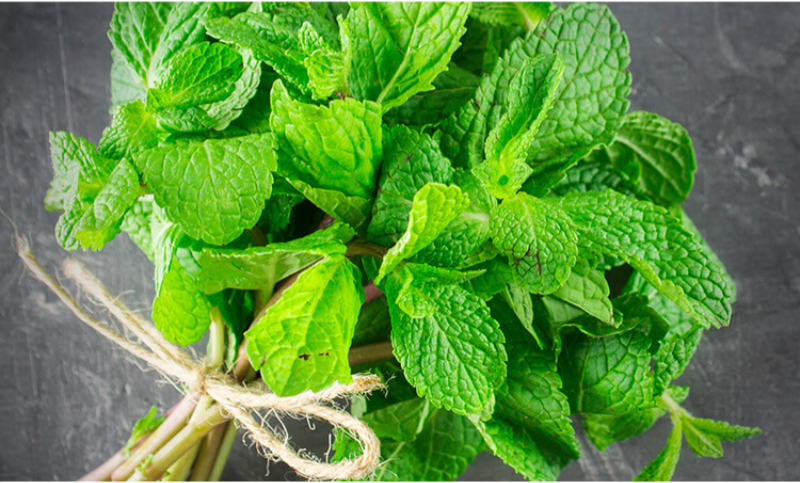 こだわりの食材-13