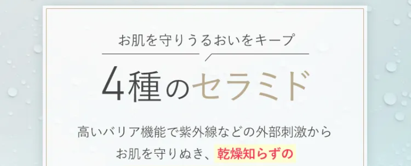 5つのポイント-15