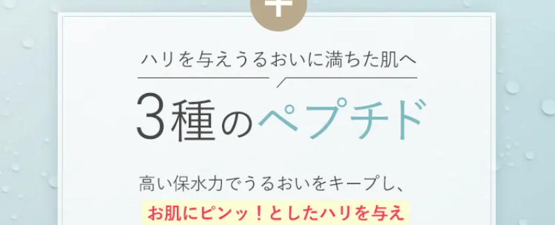 5つのポイント-17