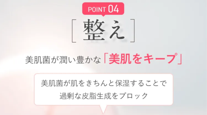 5つのポイント-19