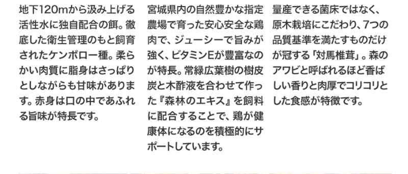 人気のポイント-9