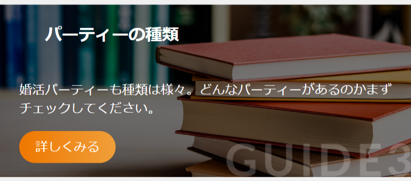 パーティーガイド-4
