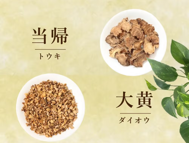 乙字湯056