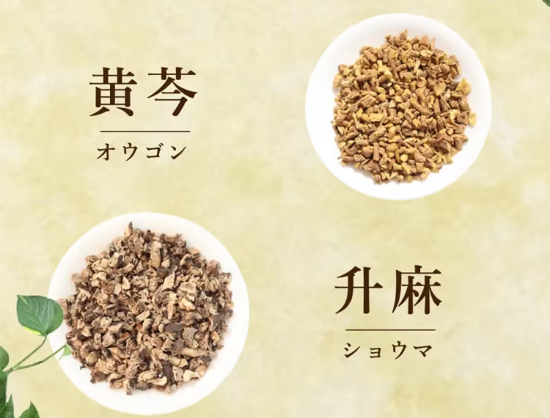 乙字湯057
