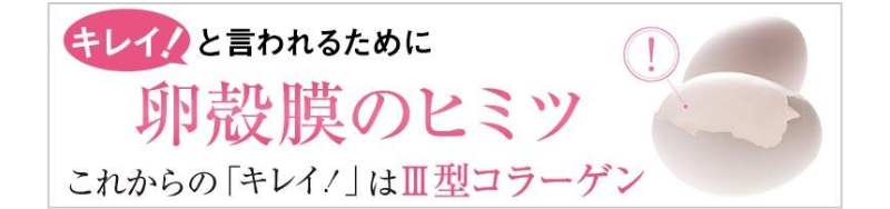 スペシャルコンテンツ-6