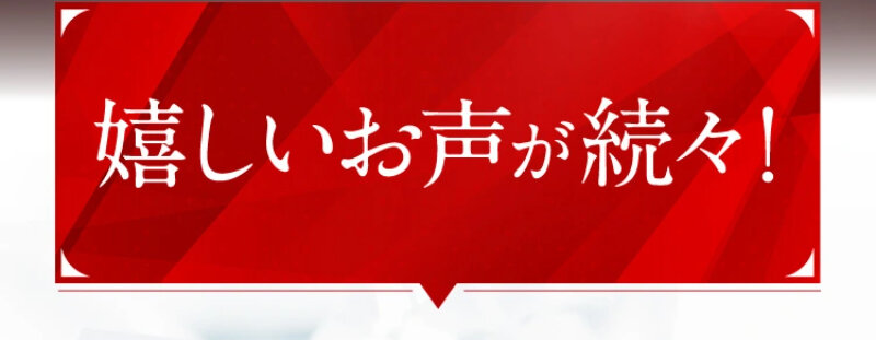 パルフェットnaセラム029