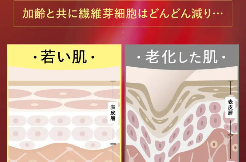 パルフェットnaセラム051