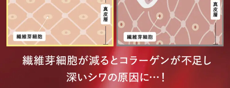 パルフェットnaセラム052