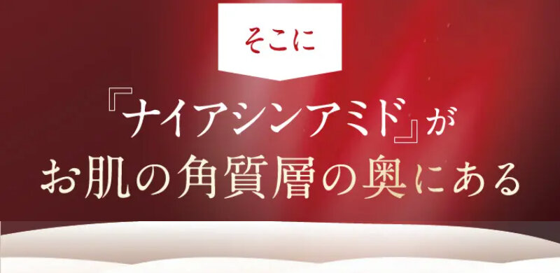 パルフェットnaセラム053