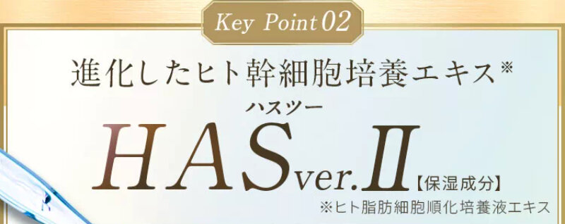 seimei041