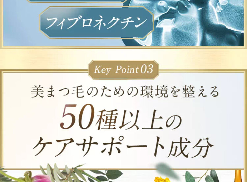 seimei044