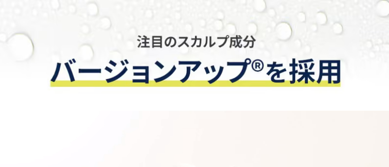メンズヘアケアシャンプーSHIN-19