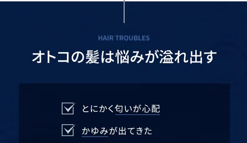 メンズヘアケアシャンプーSHIN-40