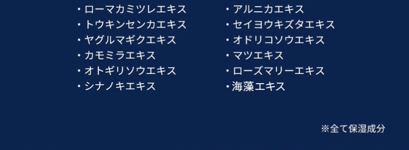 メンズヘアケアシャンプーSHIN-63