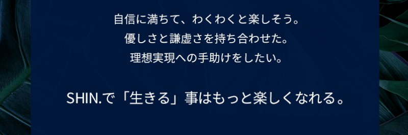 メンズヘアケアシャンプーSHIN-114