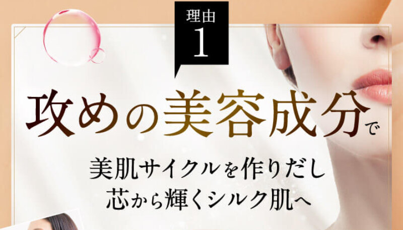 シルクリスタ019