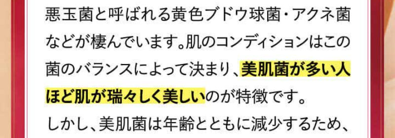 シルクリスタ025